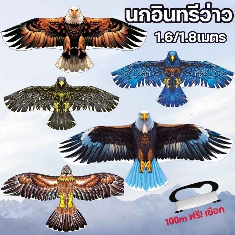 นกอินทรีว่าว 1.6เมตร/1.8เมตร ว่าวสายนกอินทรีขนาดใหญ่บินนก ว่าวเด็ก ของเล่นกลางแจ้ง