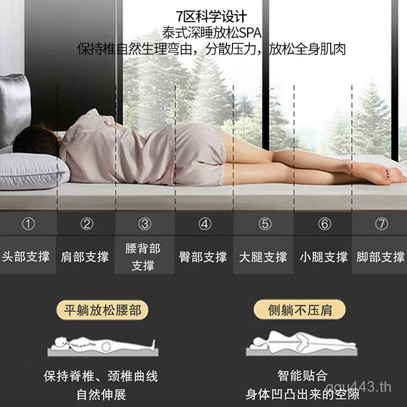 เบาะนุ่มหอพักที่ถอดออกได้ล้างทําความสะอาดได้นําเข้าที่นอนน้ํายาง ซิมมอนส์ เบาะยางโรงแรมไทยนักเรียนที