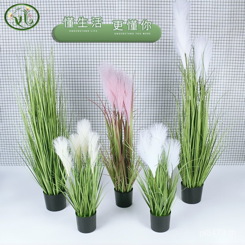 Puwei ดอกไม้ประดิษฐ์พืชสีเขียวกระถางต้นไม้ Dogtail หญ้าหน้าต่าง Reed Shop ตกแต่งขายส่งเครื่องประดับห