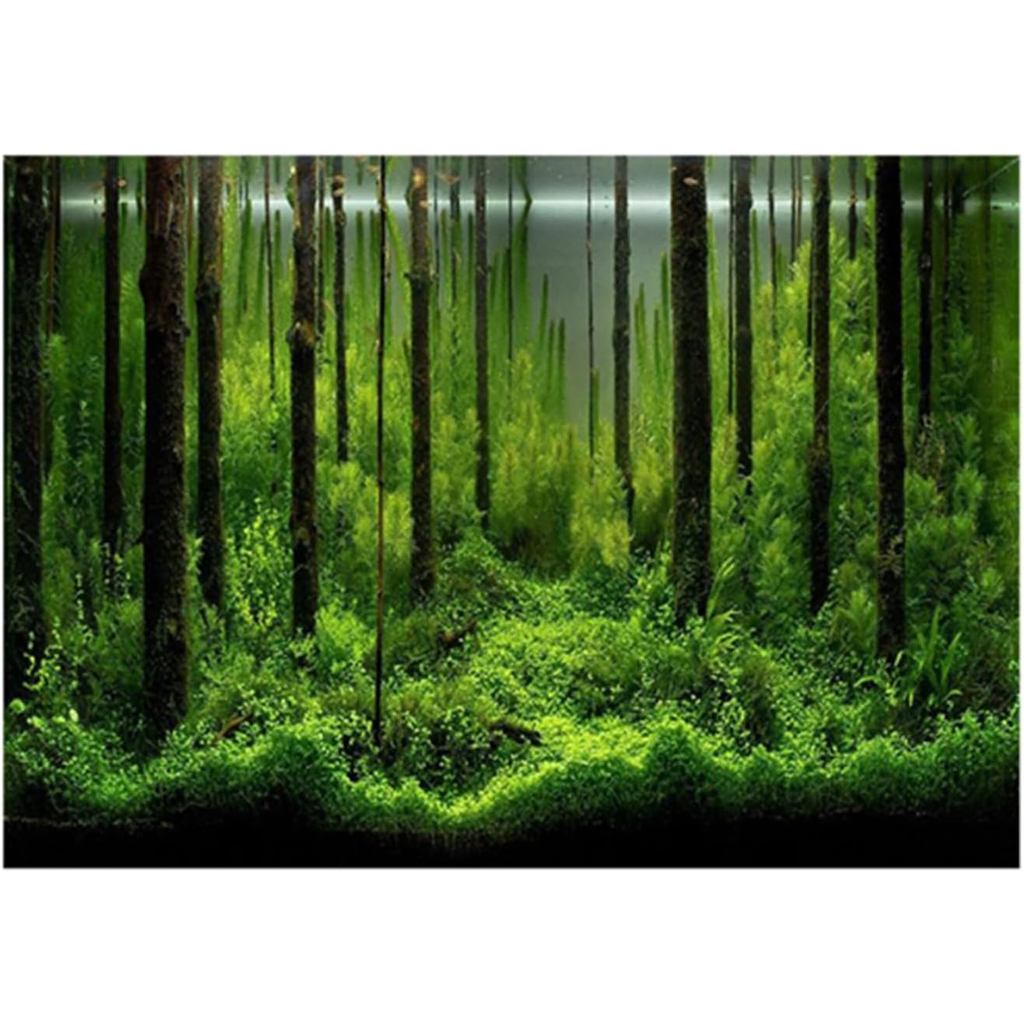 Aquarium Background 10 Gallon Tank Aquarium Poster Aquarium Forest Background Picture Fish Tank Back