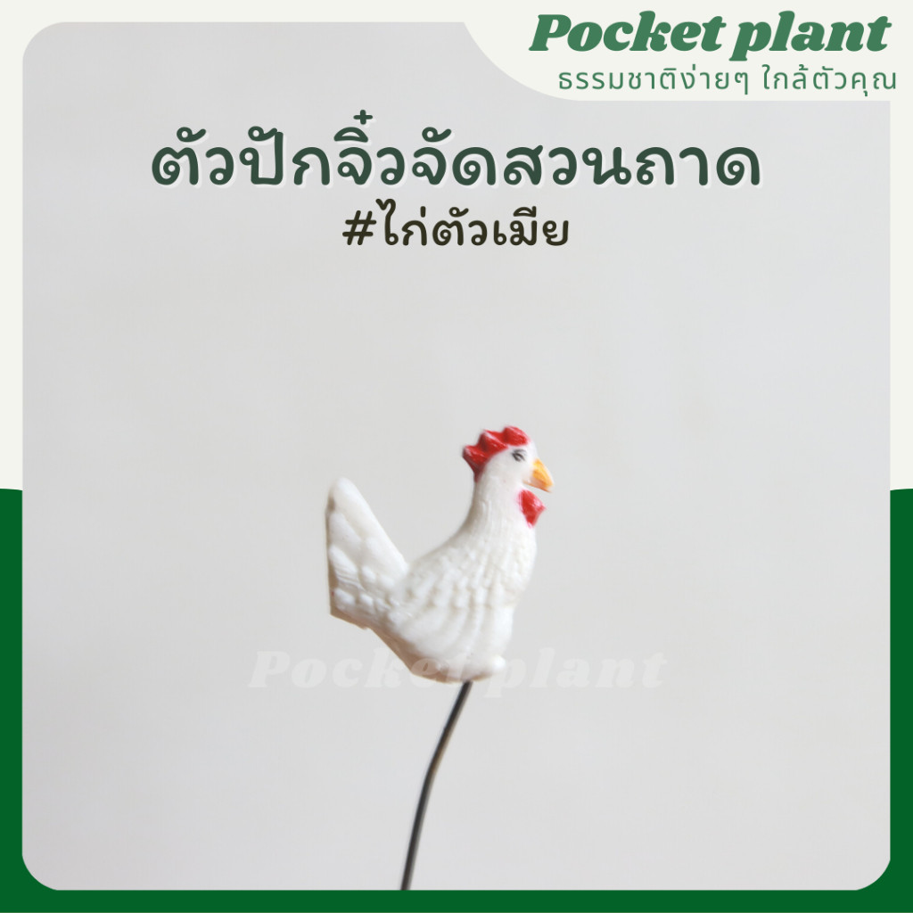 มุมมอง 7