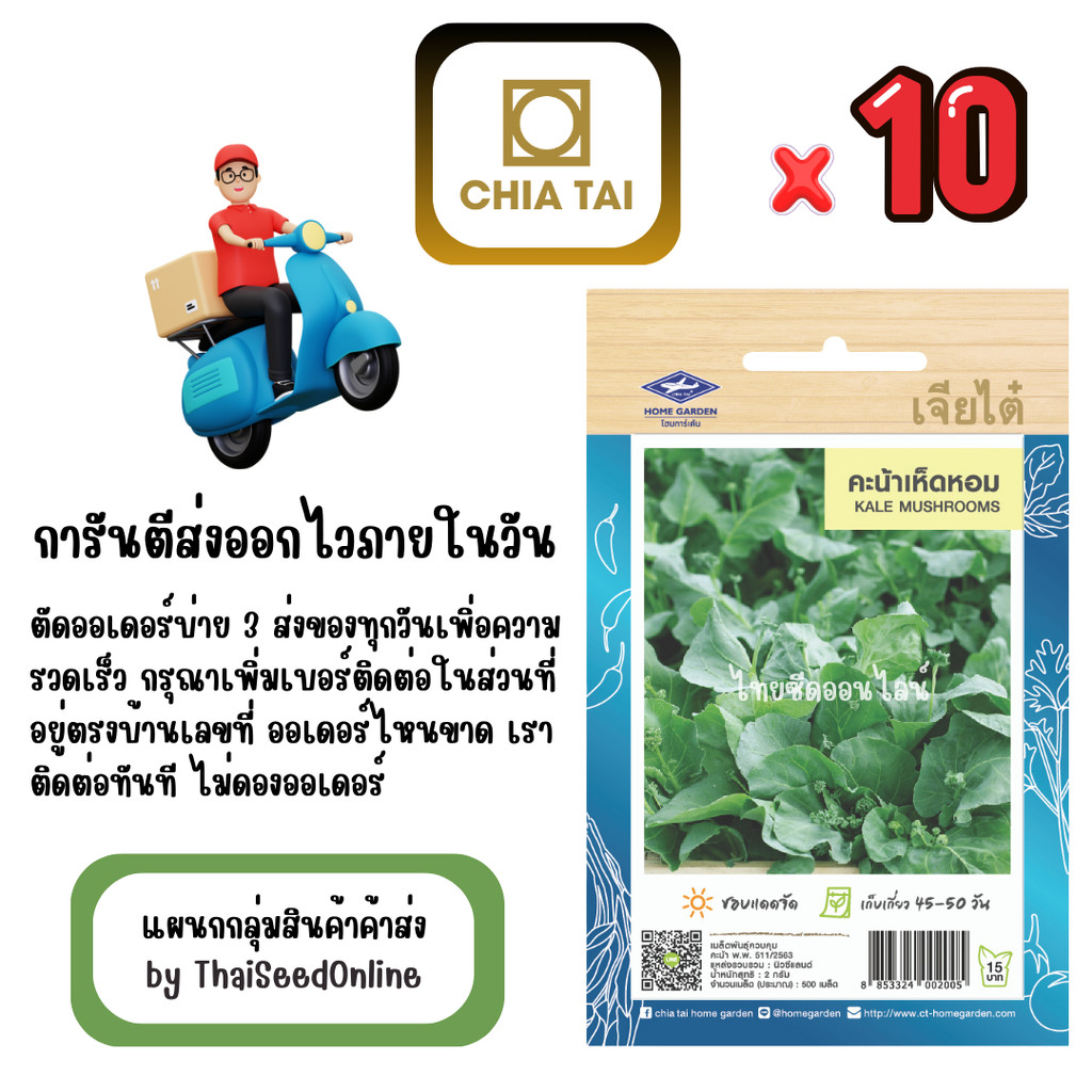 CTOP x 10 เมล็ดผักซองเจียไต๋ คะน้าเห็ดหอม สินค้ายกแพ็ค