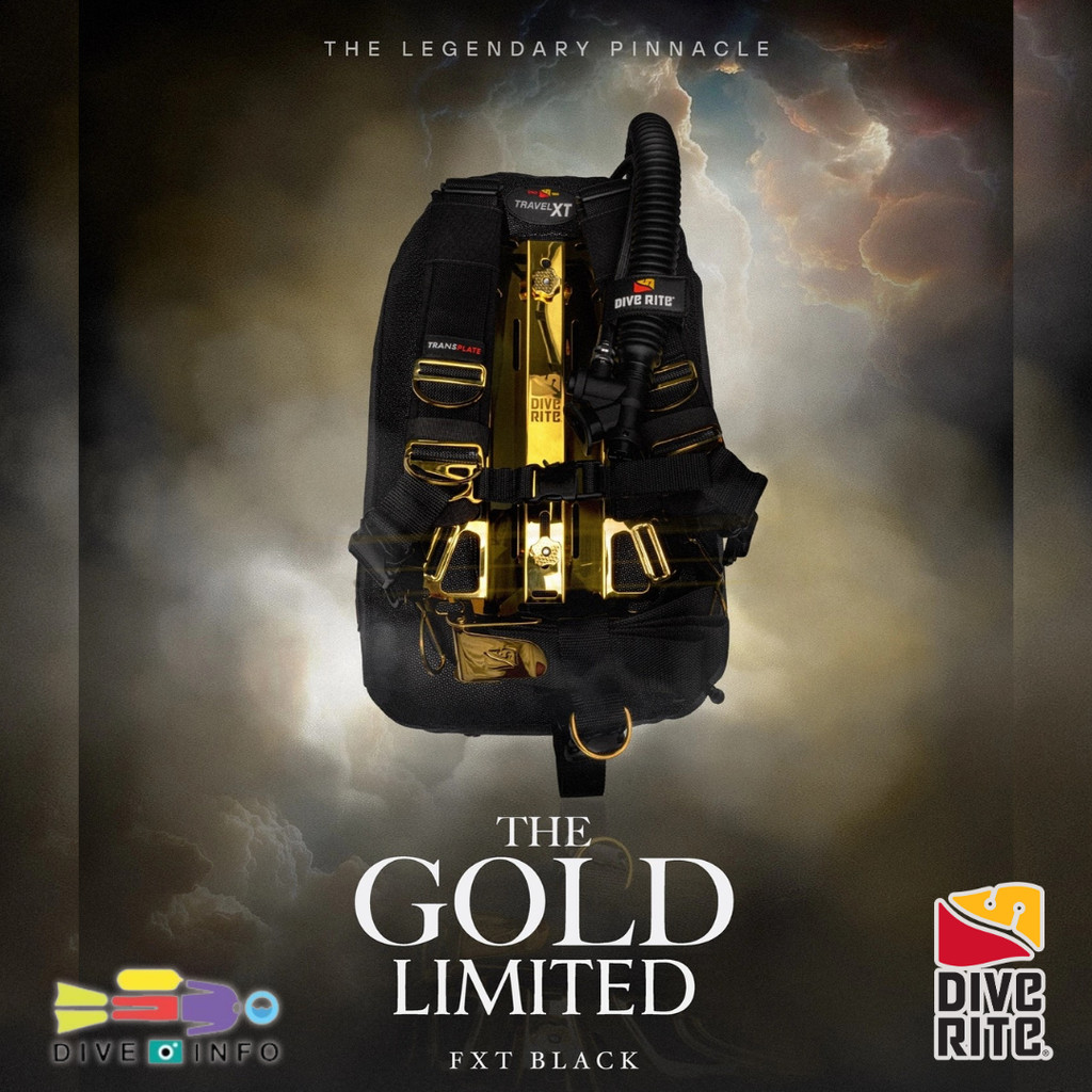 DIVE RITE - BOLD in GOLD FXT - Gold x Black Limited Edition BCD - Full SuperFablic