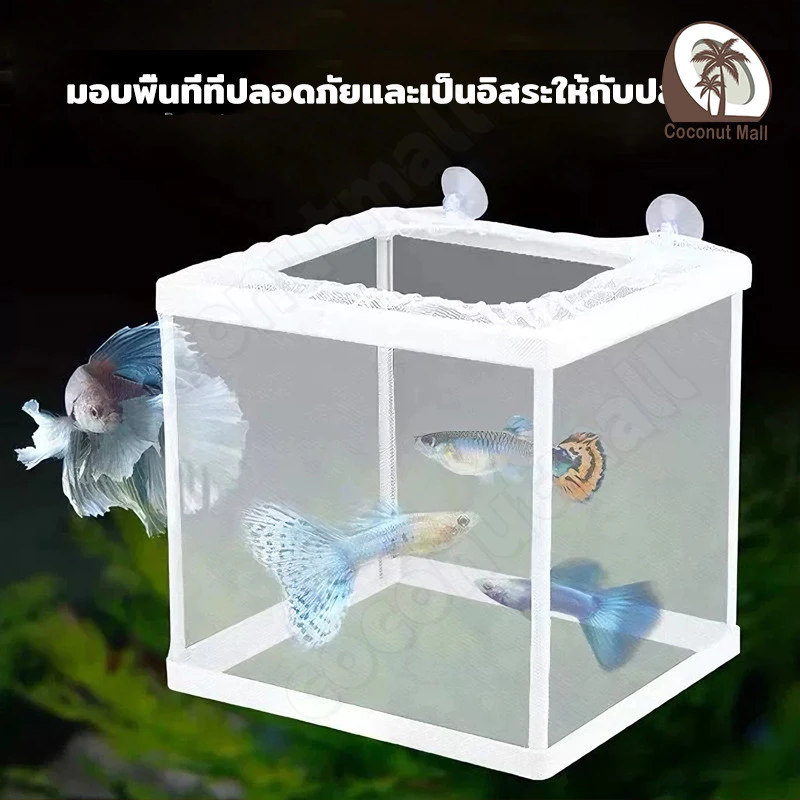 กล่องพักปลา ตาข่ายแยกปลา กล่องแยกเลี้ยงปลา ฟักไข่ปลา แยกลูกกุ้ง แยกปลาป่วย thumbnail 3