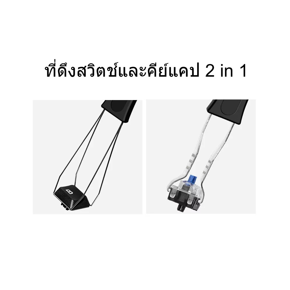 รูปภาพ 2