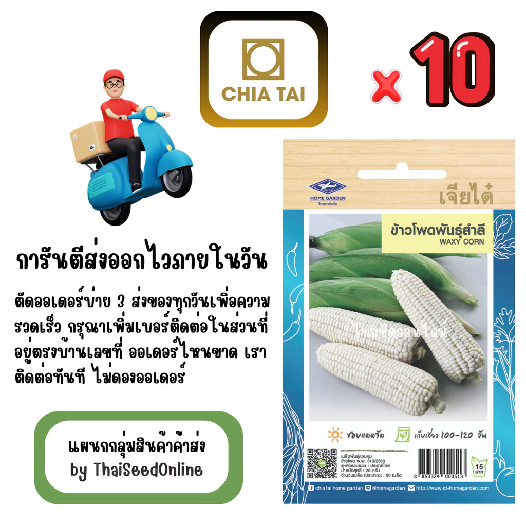 เจียไต๋ CTOP x 10 เมล็ดผักซองเจียไต๋ ข้าวโพดข้าวเหนียว สำลี สินค้ายกแพ็ค