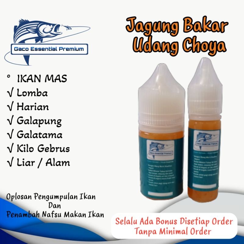 GACO Essen ปลาทอง GRILLED CORN SHRIMP CHOYA รับประกันป้องกันการจม