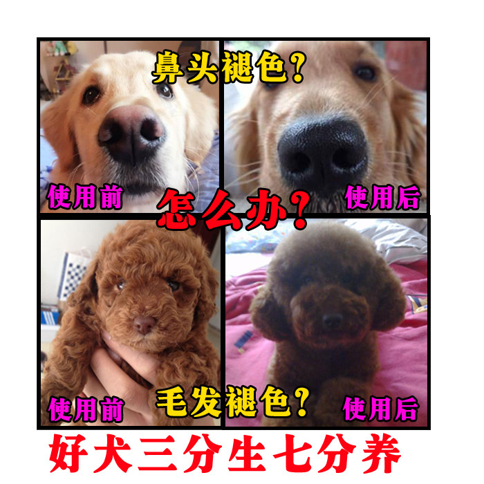 Non-Meds Lecithin American in Pet Seaweed Powder Teddy Natural Beauty Powder Dog Golden Retriever 23