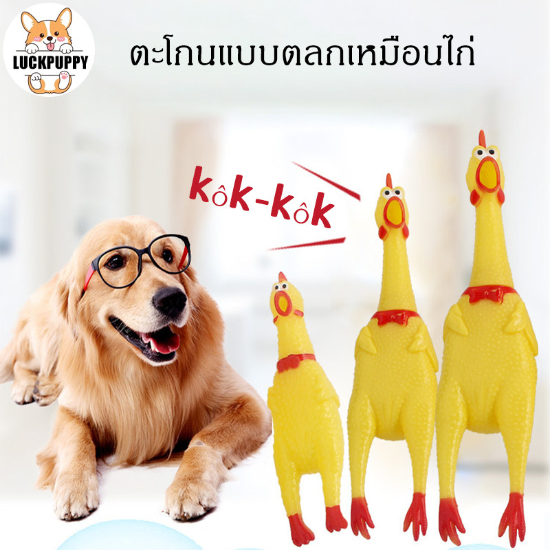 ✨ ของเล่นสุนัข ของเล่นสุนัข ของเล่นสัตว์เลี้ยงมีเสียง ทนกัด สำหรับลูกสุนัข ฝึกเคี้ยว ทำความสะอาดฟัน ของเล่นยาง