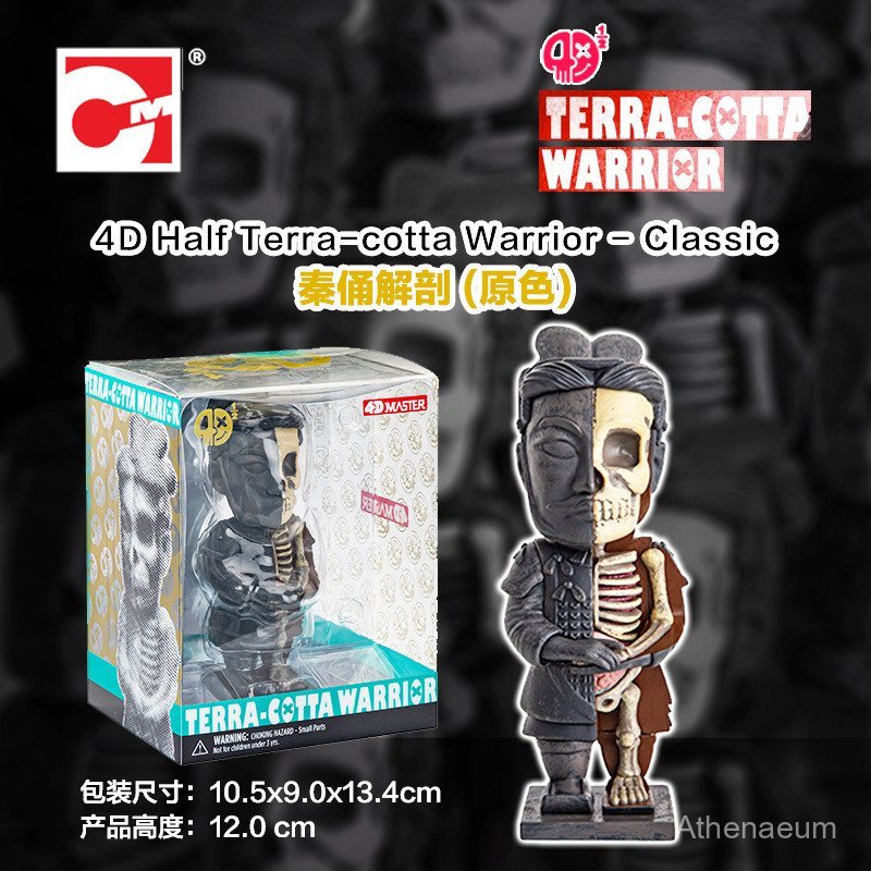 ชุดตกแต่งโมเดลฟิกเกอร์อินเทรนด์ Tomei 4D MASTER Qin Warriors Anatomy (สีประถมศึกษา) 629801