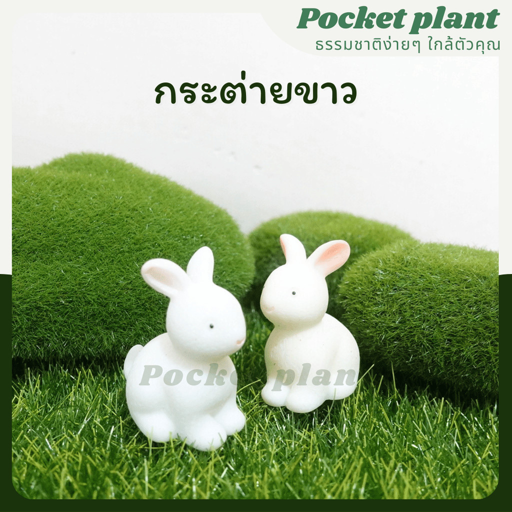 มุมมอง 4