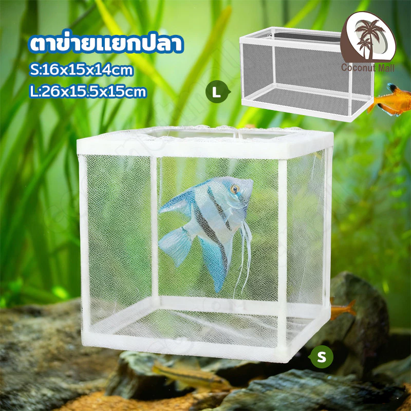 กล่องพักปลา ตาข่ายแยกปลา กล่องแยกเลี้ยงปลา ฟักไข่ปลา แยกลูกกุ้ง แยกปลาป่วย