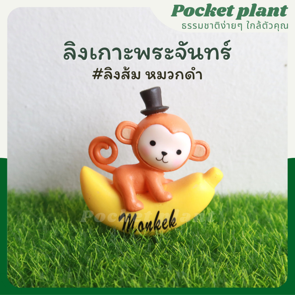 มุมมอง 5