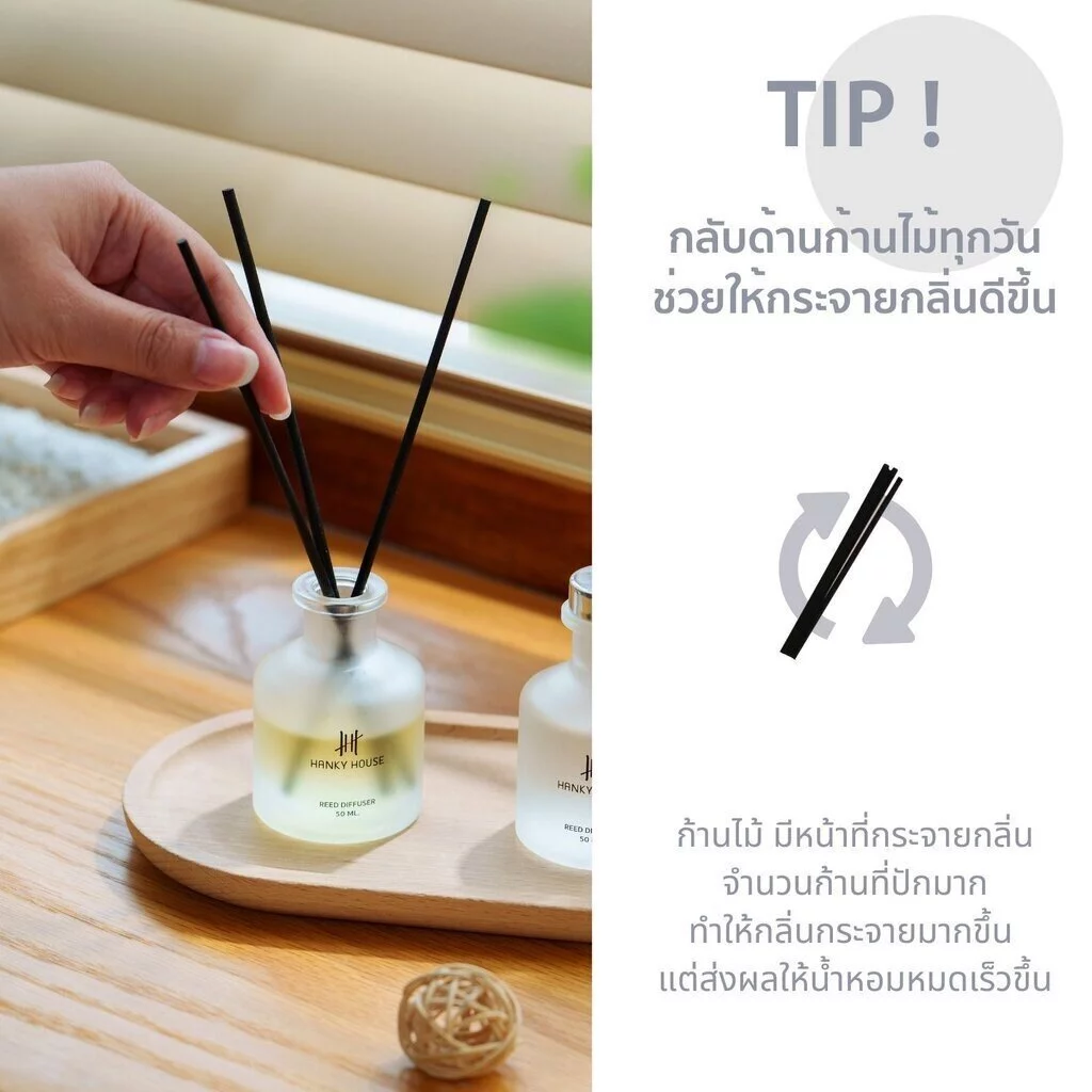 Hanky House ก้านไม้หอม ปรับอากาศ กลิ่นโรงแรมหรู Aroma Reed Diffuser ก้านน้ำหอม น้ำมันหอมระเหย Reed thumbnail 8