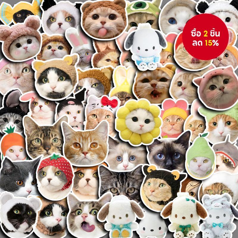 สติ๊กเกอร์หน้าแมวน่ารัก 50 ชิ้น - สติ๊กเกอร์ลูกแมวน่ารักสําหรับเคสโทรศัพท์และงานฝีมือ DIY