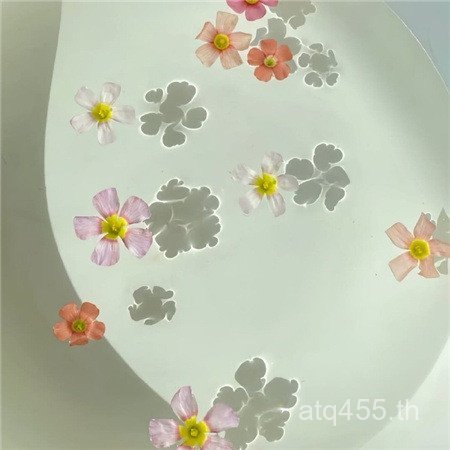 ----------- ชุดดูแลผิว บรรจุย่อย ชิ้นเดียว จัดส่งในนามของ070609 AK74