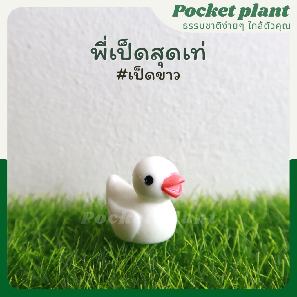 มุมมอง 3