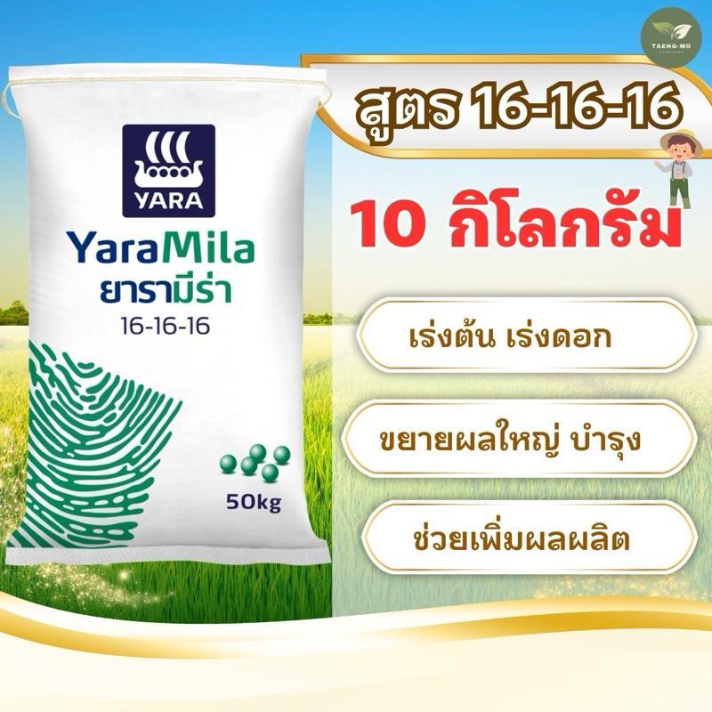 [แบ่งขาย 10 กิโล ] ปุ๋ยยารามีร่า 16-16-16