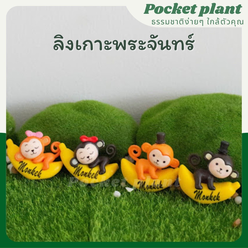 มุมมอง 2