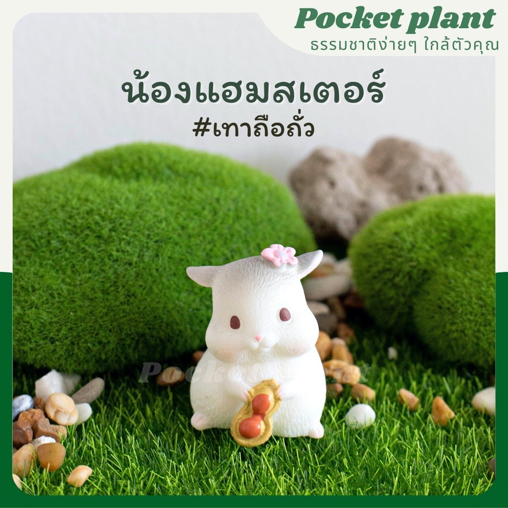 มุมมอง 5