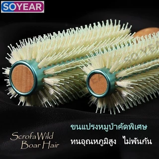 หวีจัดแต่งทรงผมขนหมูป่า ด้ามจับไม้บีช ทนความร้อนสูง - สำหรับผมหยิก ผมตรง และผมฟู 3 ขนาด (S/M/L)