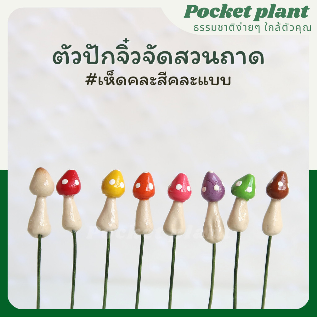 มุมมอง 6