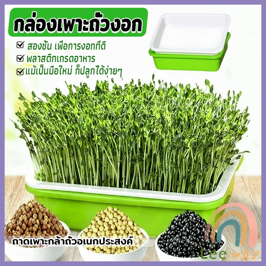 Leeway กล่องเพาะถั่วงอก ถาดเพาะต้นอ่อน ไม่ต้องใช้ดิน นำกลับมาใช้ใหม่ได้ สำหรับมือใหม่ 1ชุด bean sprouts tray