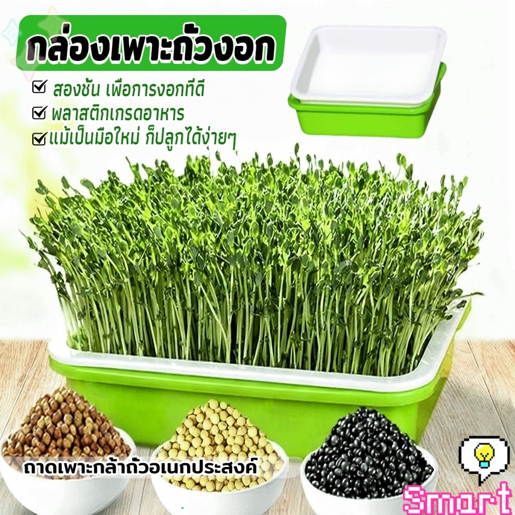 SMART กล่องเพาะถั่วงอก ถาดเพาะต้นอ่อน ไม่ต้องใช้ดิน นำกลับมาใช้ใหม่ได้ สำหรับมือใหม่ 1ชุด bean sprouts tray