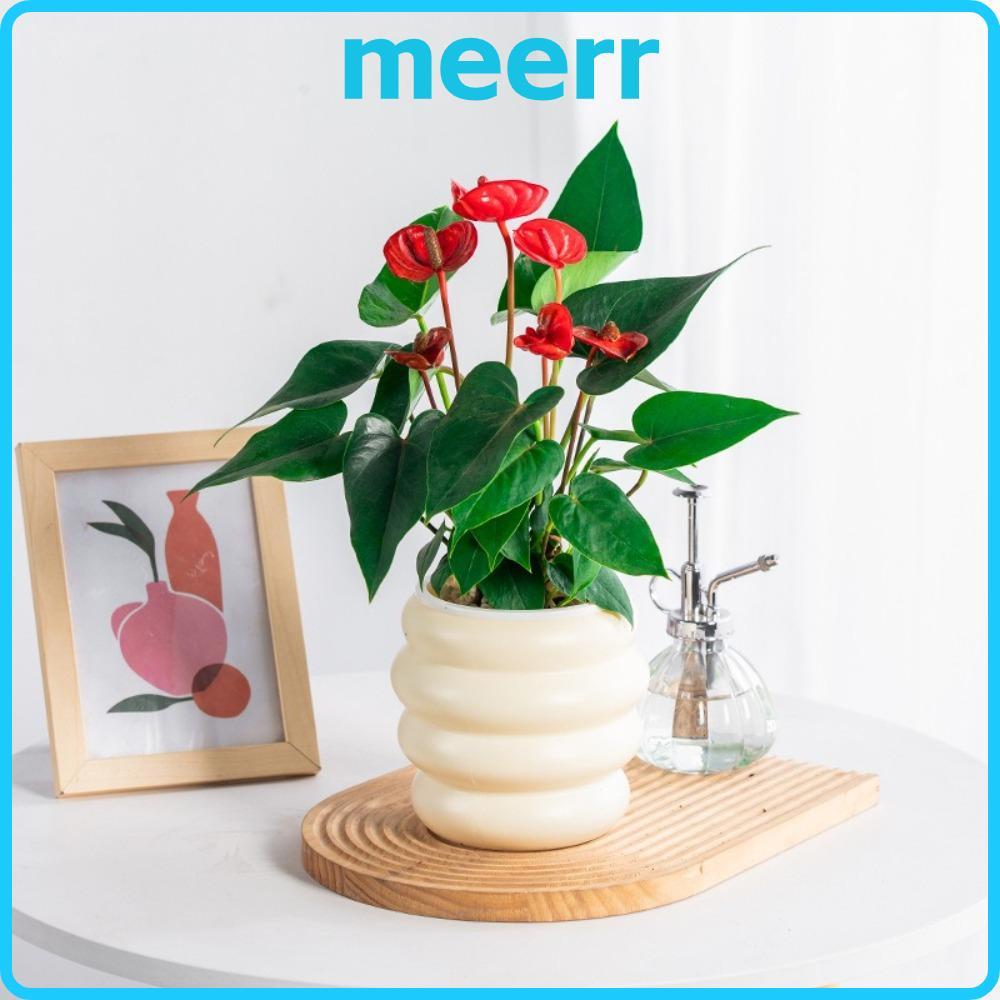 มีร์ ชาวไร่แบบแขวน,กระถางดอกไม้ไฮโดรโพนิโปร่งใสพลาสติก,สร้างสรรค์ที่ถอดออกได้รดน้ําด้วยตนเองมินิชาวไร่ฉ่ํา