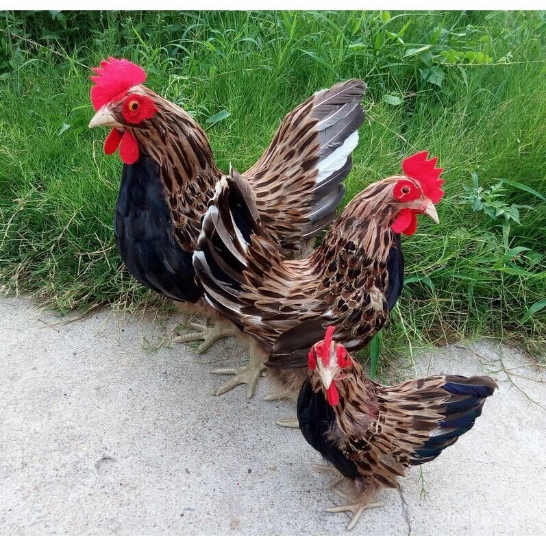 Zodiac จําลอง Hen สัตว์จําลองไก่เด็กใหญ่ของขวัญสร้างสรรค์สัตว์ Feather ของเล่น IIIA