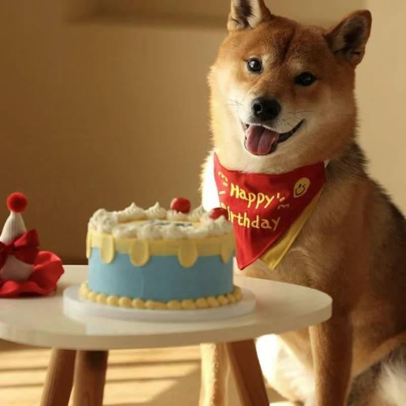 Pet Triangle Saliva Wedding Scarf Bib Dog Cat Scarf Lucky Home Decoration PQyP