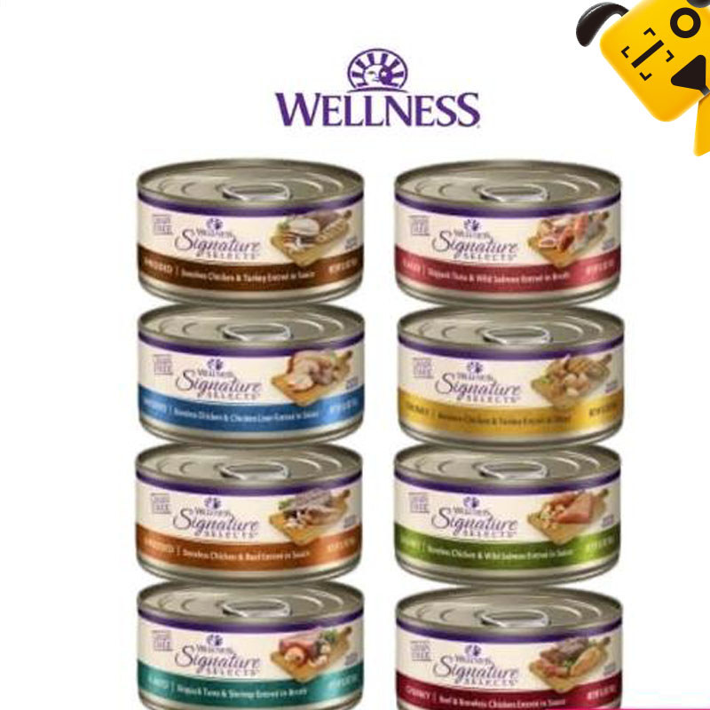 Wellness CORE อาหารแมวปลอดธัญพืช - สูตรธรรมชาติพร้อมชิ้นเนื้อสําหรับแมวโตและลูกแมว