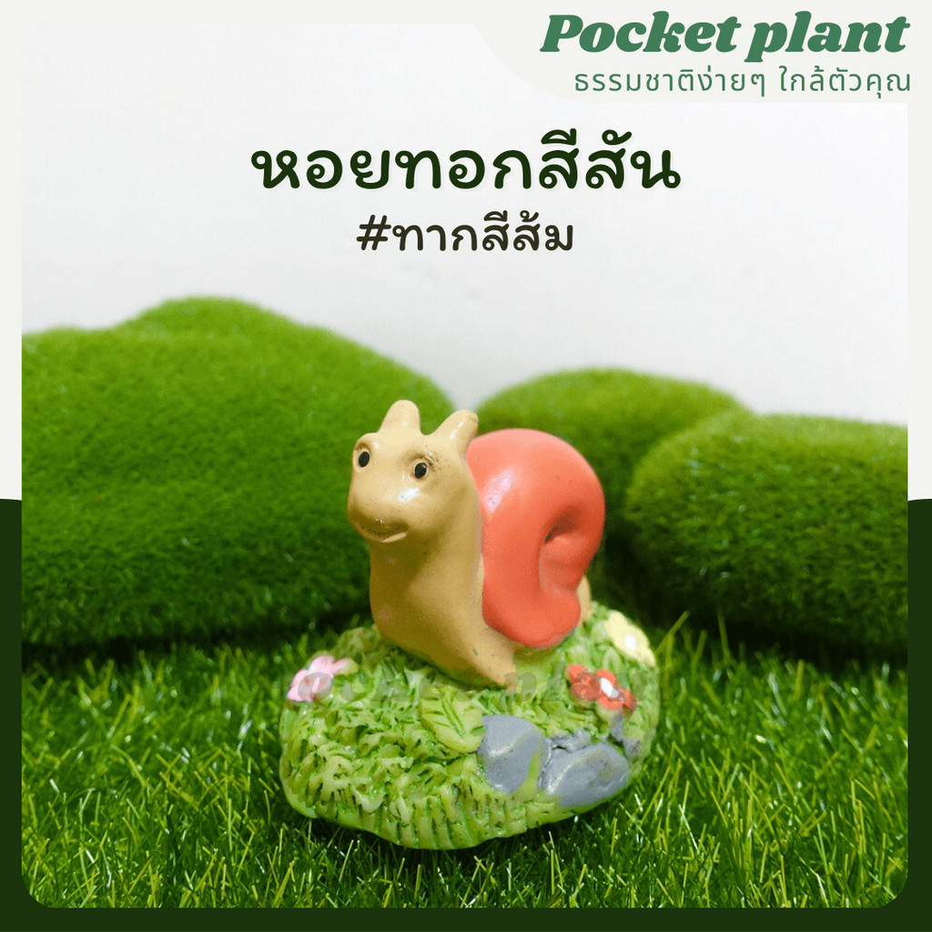 มุมมอง 5