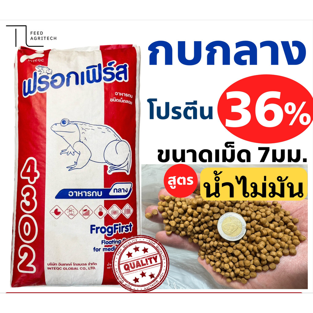 (สูตรน้ำไม่มัน ไม่เสียง่าย) อาหารกบ ( เม็ดกลาง ) โปรตีน35% โตวัย โตพุ่ง น้ำไม่เสีย 4302 1 kg.