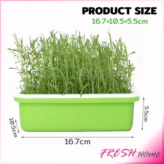Fresh กล่องเพาะถั่วงอก ถาดเพาะต้นอ่อน ไม่ต้องใช้ดิน นำกลับมาใช้ใหม่ได้ สำหรับมือใหม่ 1ชุด bean sprouts tray