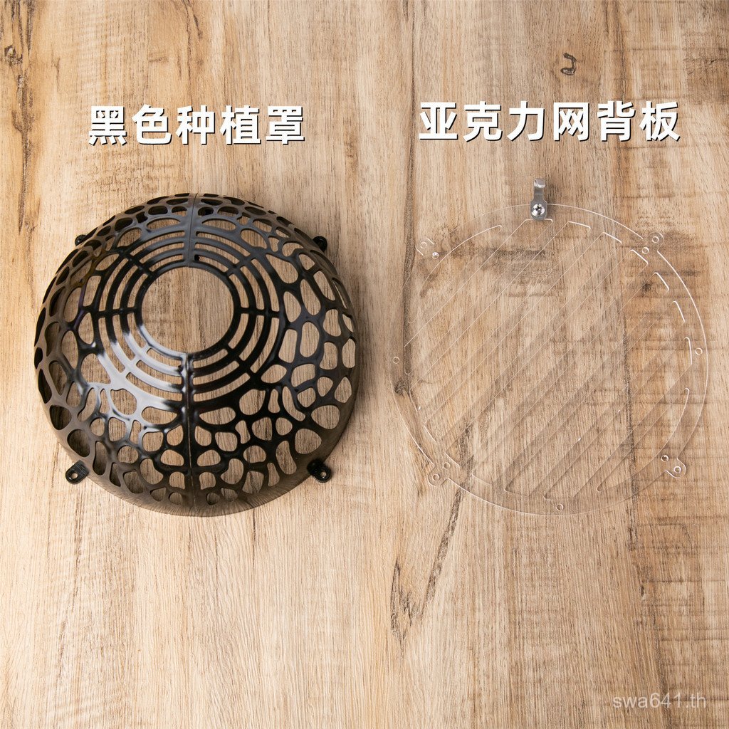 Upper Board Phalaenopsis Horse รอบ Non-Asian Monkey ปลูก Java เงินกวาง Suspension Ball พืชน้ํา Stagh