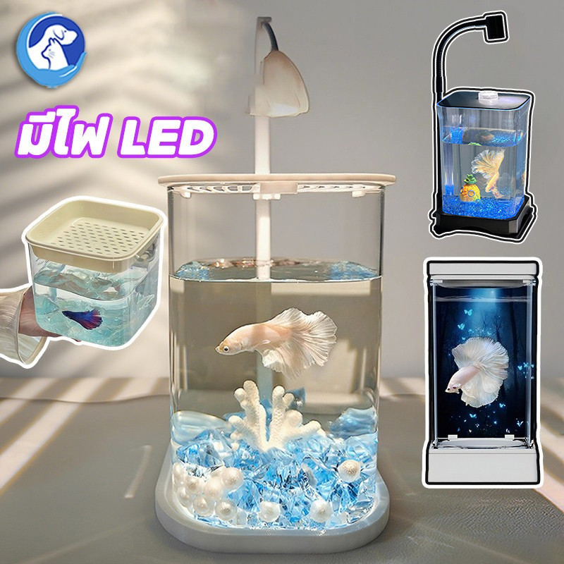 ปลากัดถัง ตู้ปลาพลาสติกใส สำหรับปลากัด มีไฟ LED วางไว้บนโต๊ะทํางานของคุณ