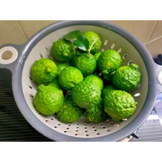 มะกรูดสด คละไซส์ขนาด1กิโล ใช้งานเอนกประสงค์