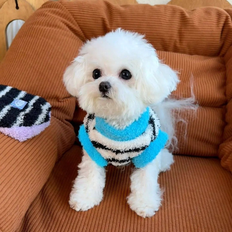 เสื้อสัตว์เลี้ยง เสื้อสเวตเตอร์ ชุดนอนสุนัข ชุดนอนแมว เสื้อกันหนาวถัก ให้อบอุ่น น่ารัก S-L - รูปที่ 4