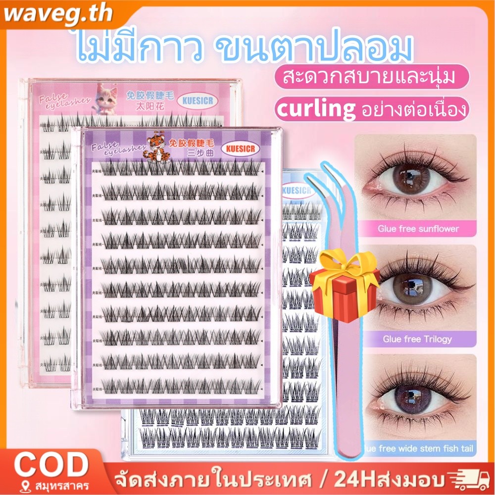 ของขวัญฟรีขนตาปลอมปลอดกาวคลัสเตอร์เดียวธรรมชาติสมจริงยาวนานดัดผมเรียวหนาง่ายที่จะโอเปร่าขนตาปลอม ไทย ท้องถิ่น