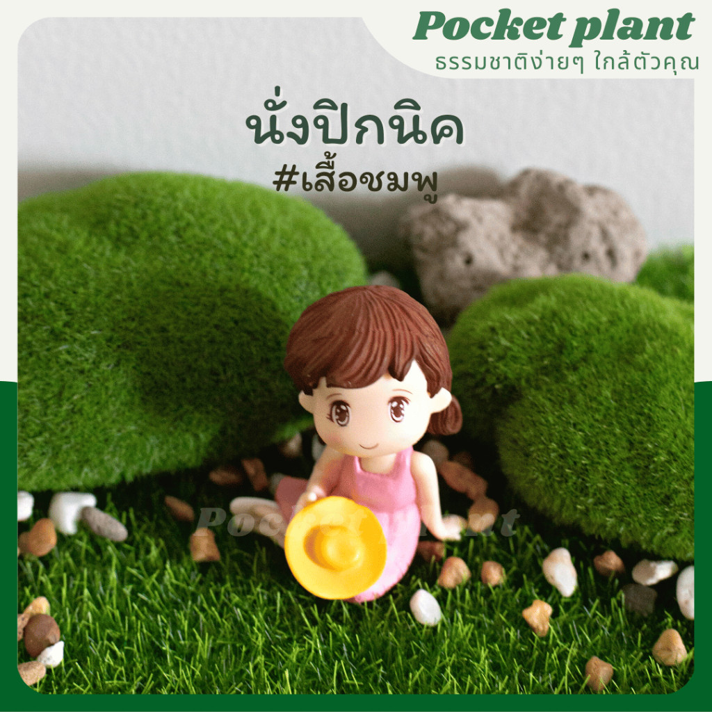 มุมมอง 7