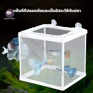 กล่องแยกปลา กล่องแยกลูกปลา แบบตาข่าย สำหรับตู้ปลา เพาะพันธุ์ ฟักไข่ปลา จัดการเลี้ยงปลา