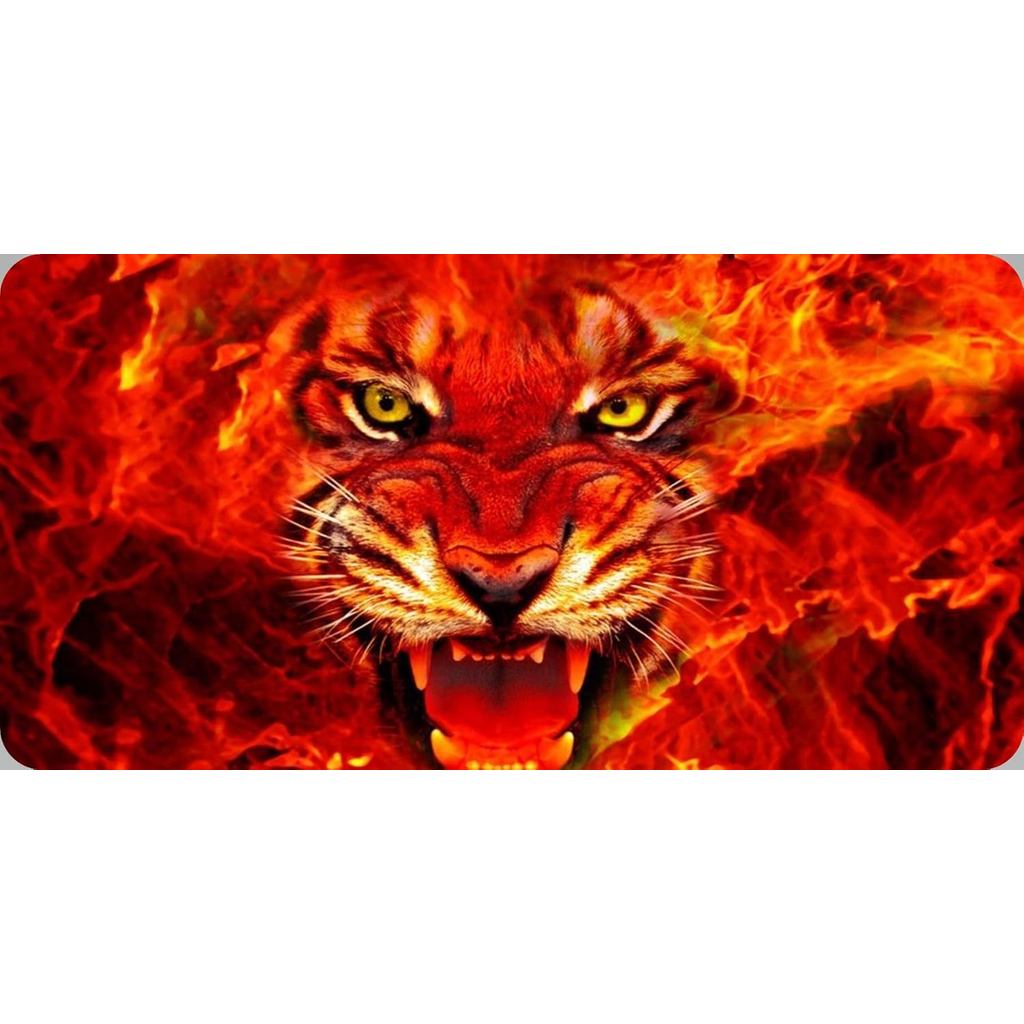 ป้ายทะเบียนภาพ Tiger Face On Fire