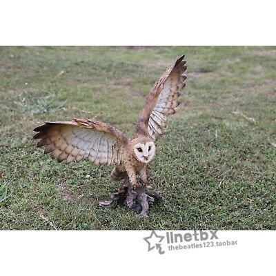 Daigou Barn Owls นกฮูกน่ารักจําลองรูปปั้นสัตว์ประติมากรรมสวนห้องนั่งเล่นตกแต่งกลางแจ้ง