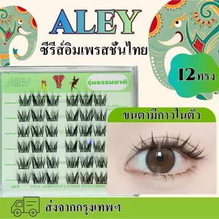 AIEY[ซีรีส์ อิมเพรสชั่นไทย] ขนตามีกาวในตัว สไตล์ไทย มีหลากหลายสไตล์ โค้งสวย หนาแน่น วัสดุธรรมชาติ ออกเที่ยวต้องมี