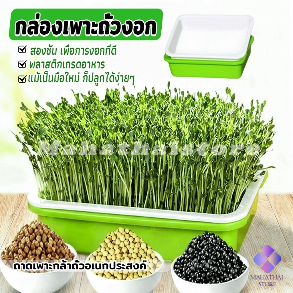 Mahathai กล่องเพาะถั่วงอก ถาดเพาะต้นอ่อน ไม่ต้องใช้ดิน นำกลับมาใช้ใหม่ได้ สำหรับมือใหม่ 1ชุด bean sprouts tray