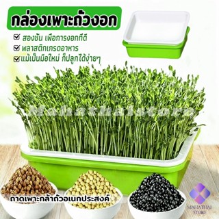 Mahathai กล่องเพาะถั่วงอก ถาดเพาะต้นอ่อน ไม่ต้องใช้ดิน นำกลั…