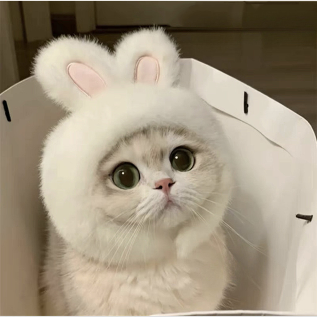 หมวกสัตว์เลี้ยง Puppy Dog Rabbit Ear Hat Lion Burger Cat Cute Funny Accessories Headgear Ready Stock