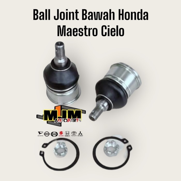 Honda maestro cielo ลูกหมากล่าง