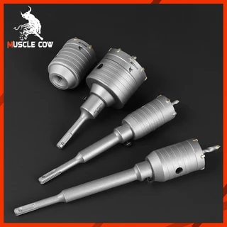 MUSCLE COW ชุดดอกสว่าน โฮลซอเจาะปูน คอนกรีต อิฐบล็อก หินอ่อน กระเบื้อง 3 ขนาด 30 40 50 mm ใช้สำหรับเจาะกระแทก